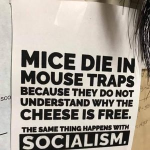 Meet your Posher, Mike